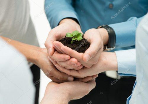Imagem ilustrativa de EDUCAÇÃO AMBIENTAL